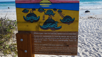 Tortuga Bay photo 5