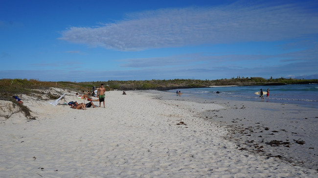 Tortuga Bay photo