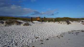 Tortuga Bay