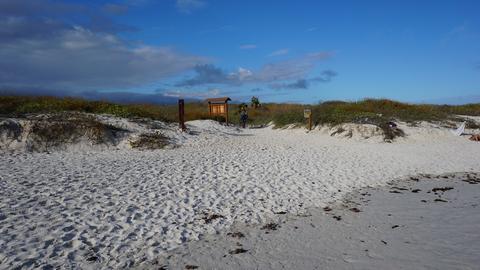Tortuga Bay Ecuador