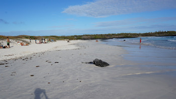 Tortuga Bay photo 2