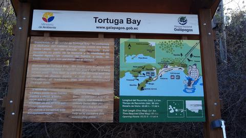 Tortuga Bay Ecuador