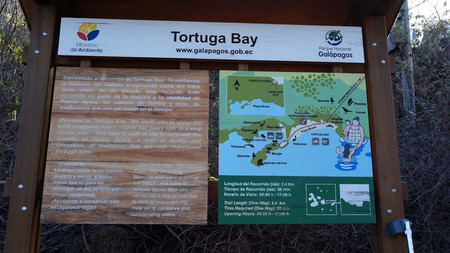 Tortuga Bay photo 3
