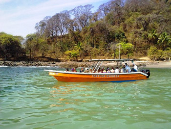 Tour a Isla Tortuga photo 4