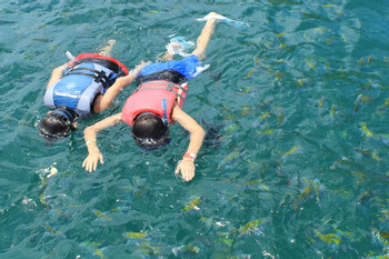 Tortuga Island Tour photo 5
