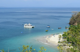 Tortuga Island Tour