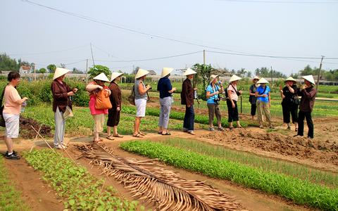 Tra Que Vegetable Village Experience