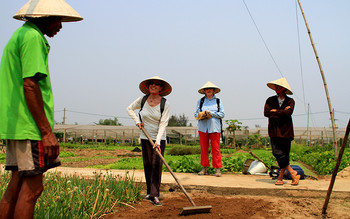 Tra Que Vegetable Village Experience photo 4