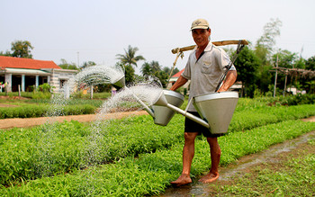 Tra Que Vegetable Village Experience photo 3