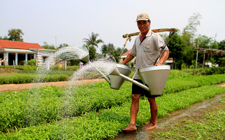 Tra Que Vegetable Village Experience photo 3