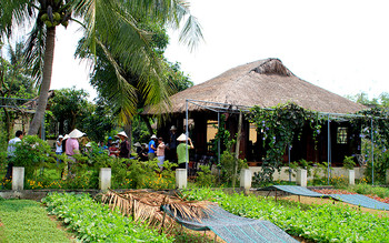 Tra Que Vegetable Village Experience photo 5