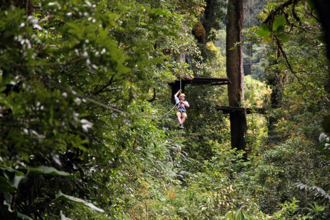 Boquete Tree Trek Canopy Tour (12 Ziplines) photo