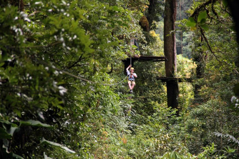 Boquete Tree Trek Canopy Tour (12 Ziplines)