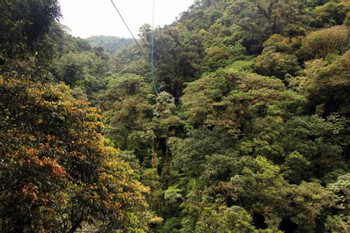 Boquete Tree Trek Canopy Tour (12 Ziplines) photo 4