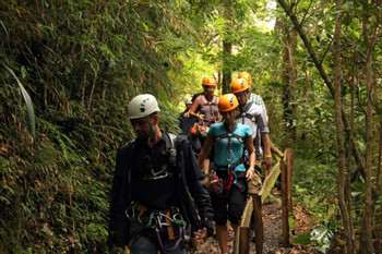 Boquete Tree Trek Canopy Tour (12 Ziplines) photo 3