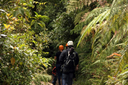 Boquete Tree Trek Canopy Tour (12 Ziplines) photo 2
