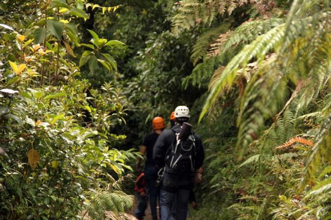 Boquete Tree Trek Canopy Tour Photo