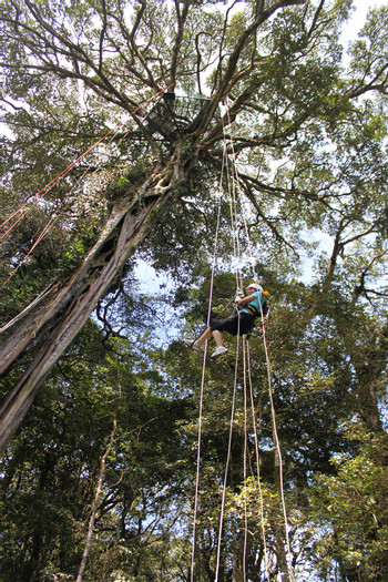 TreeTop Escalada photo 5