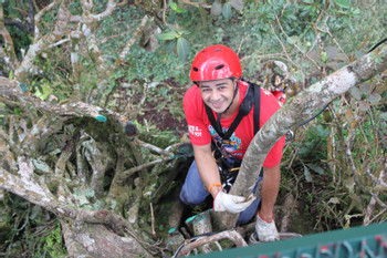 TreeTop Escalada photo 4