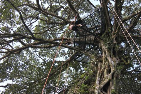 Treetop Climbing