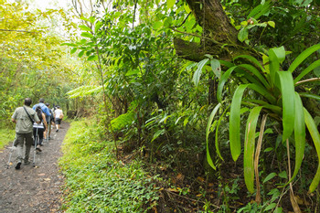 Caminata por la Laguna de Hule photo 3