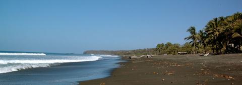 Trabaje como un Pasante en la Conservación de Tortugas en la Costa del Pacífico Costa Rica