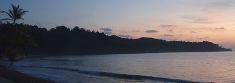 Trabaje como un Pasante en la Conservación de Tortugas en la Costa del Pacífico Costa Rica