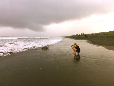 Turtle Conservation Intern on the Pacific Coast Costa Rica