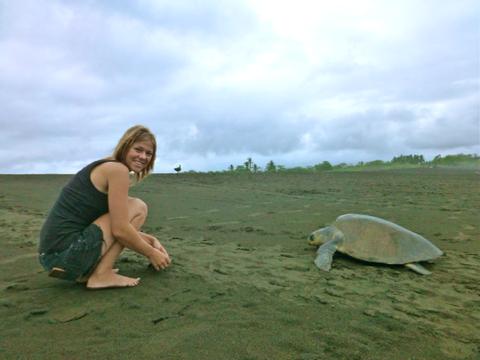 Turtle Conservation Intern on the Pacific Coast