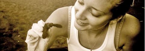 Trabaje como un Pasante en la Conservación de Tortugas en la Costa del Pacífico Costa Rica