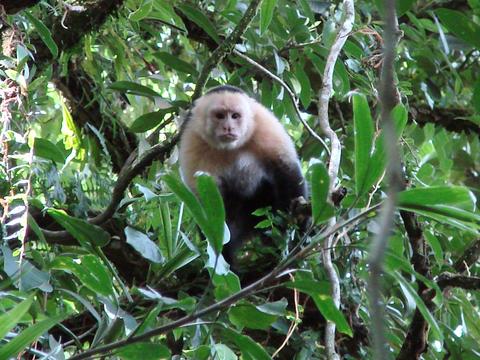 Twilight Safari Float Costa Rica