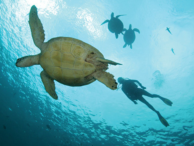 Tour de Buceo Dos Océanos photo