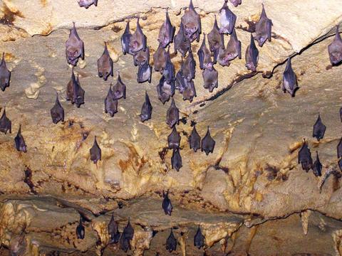 Venado Caves Tour Costa Rica