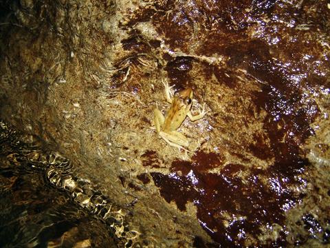 Venado Caves Tour Costa Rica