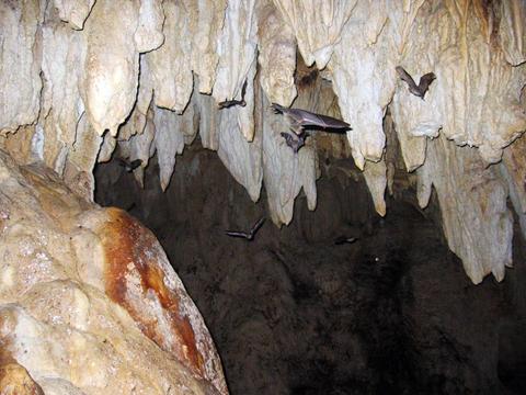 Venado Caves Tour Costa Rica