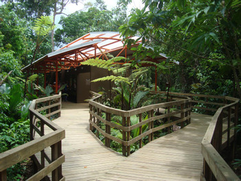 Veragua Rainforest EcoAdventure photo 5
