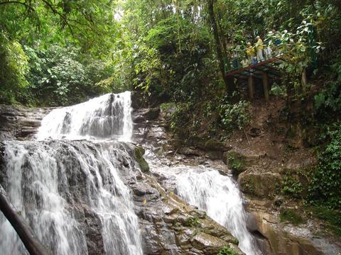 Veragua Rainforest Full Day Tour Costa Rica