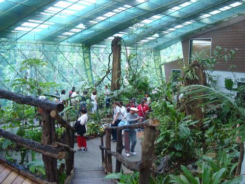 Veragua Rainforest Full Day Tour Costa Rica