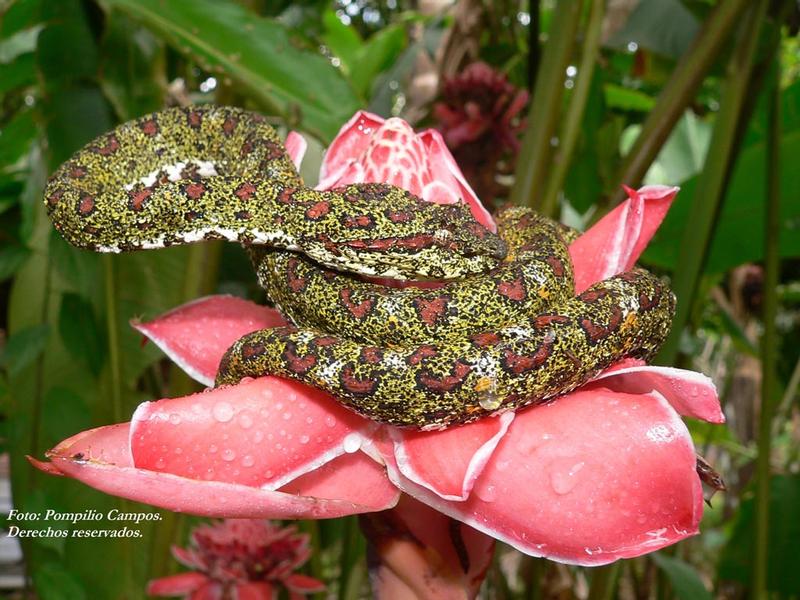 Veragua Rainforest Full Day Tour