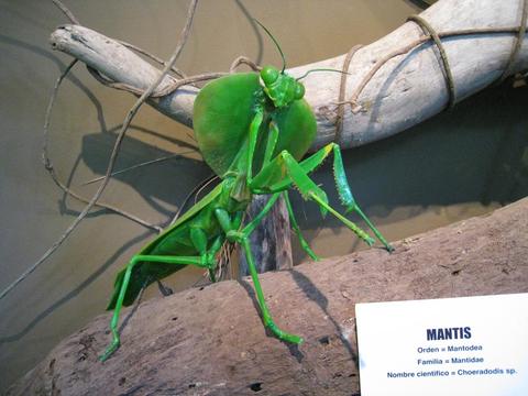 Veragua Rainforest Full Day Tour Costa Rica