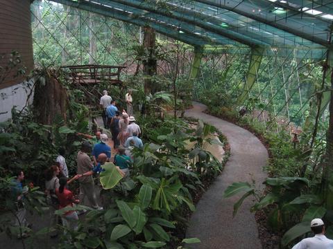 Veragua Rainforest Full Day Tour Costa Rica