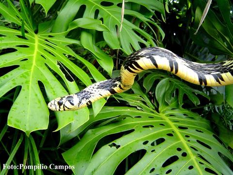 Veragua Rainforest Full Day Tour Costa Rica