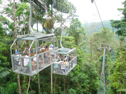 Bosque Lluvioso Veragua