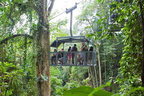 Bosque Lluvioso Veragua Costa Rica
