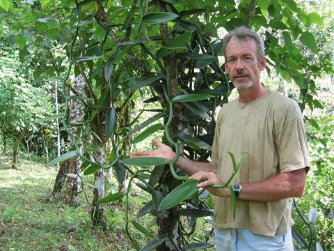 Villa Vanilla Spice Plantation