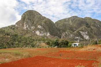 Cigar Tour and Viñales Valley Hike