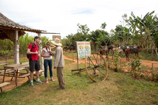 Cigar Tour and Viñales Valley Hike