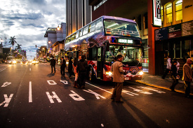 VIP Bus Afternoon City Tour