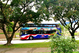 VIP Bus Morning City Tour 