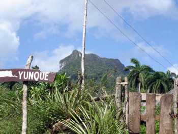 Visita a El Yunque photo 2